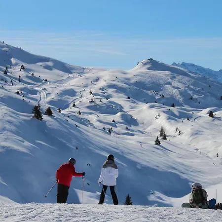 Chalet La Tour De L'enversin Vaujany